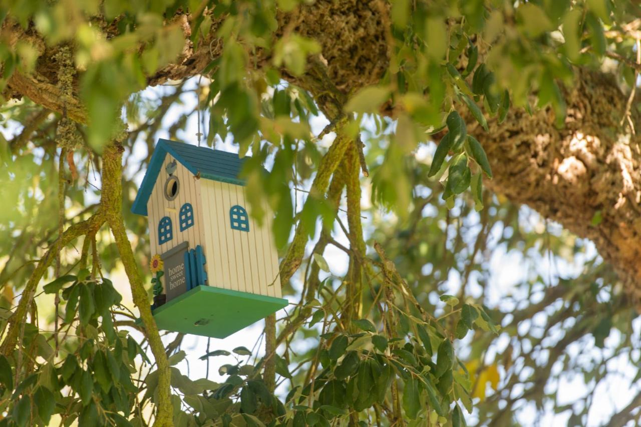 Mystay - Herdade Do Vale Da Abelheira Grandola Exterior photo